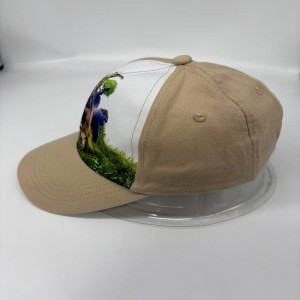 Custom baseball Cap