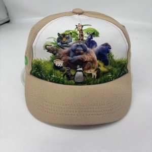 Custom baseball Cap