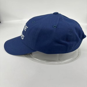 dad hats (4)